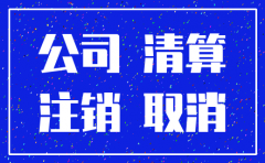 公司要注销法人垫支的资金