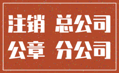 总公司同意注销申请书