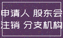 股东大会同意注销分公司决议书