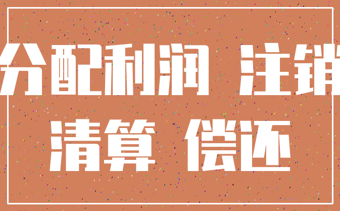 分配利润 注销_清算 偿还