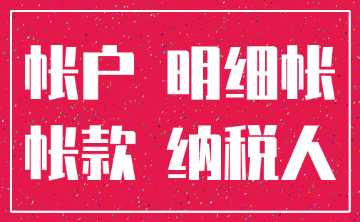 帐户 明细帐_帐款 纳税人