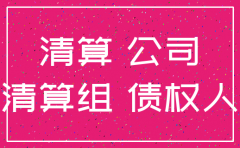 公司注销 债权债务情况说明