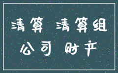 有限公司注销资产处置报告