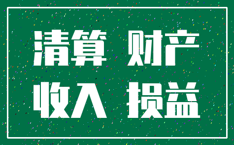 清算 财产_收入 损益