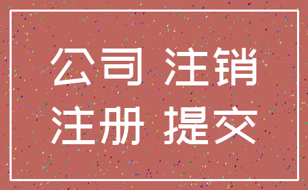 公司 注销_注册 提交
