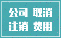 公司注销要查多久以前的账号