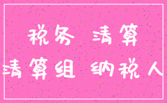 公司注销税款清算报告