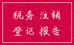 公司注销的鉴定报告是谁出的