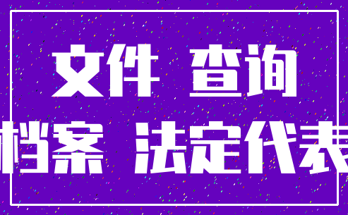 文件 查询_档案 法定代表