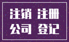 注销填写公司登记备案申请书