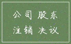 分公司注销登记的股东会决议