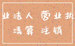 注销 公司 诉讼主体