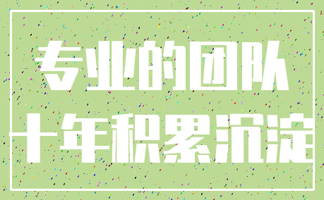 专业的团队_十年积累沉淀