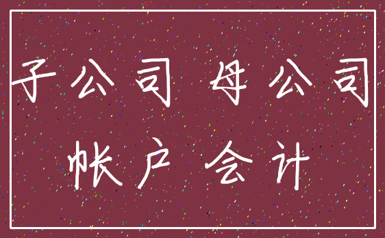 子公司 母公司_帐户 会计