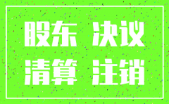 分公司注销股东会决议证明