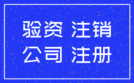 验资 注销_公司 注册