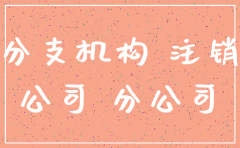 总公司先注销再分公司注销