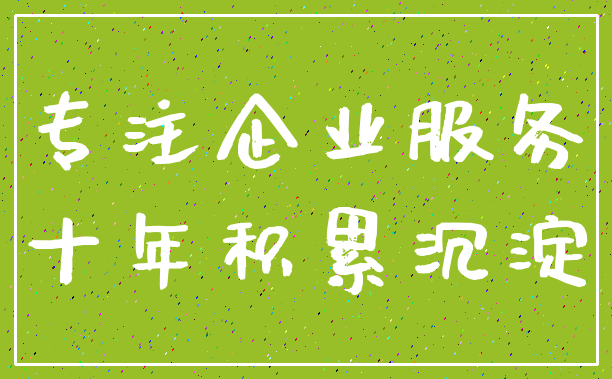 专注企业服务_十年积累沉淀