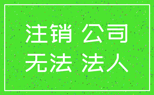 注销 公司_无法 法人