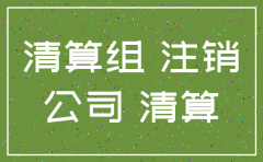 注销没有业务公司的程序