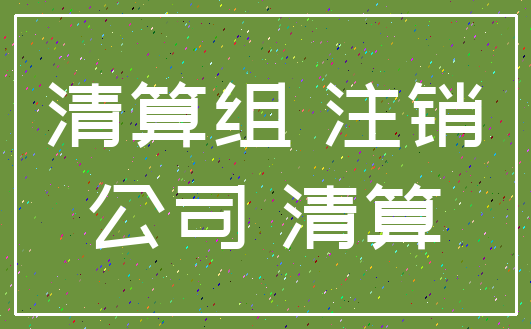 清算组 注销_公司 清算