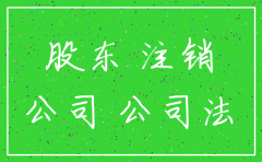 提供给董事会的公司注销申请
