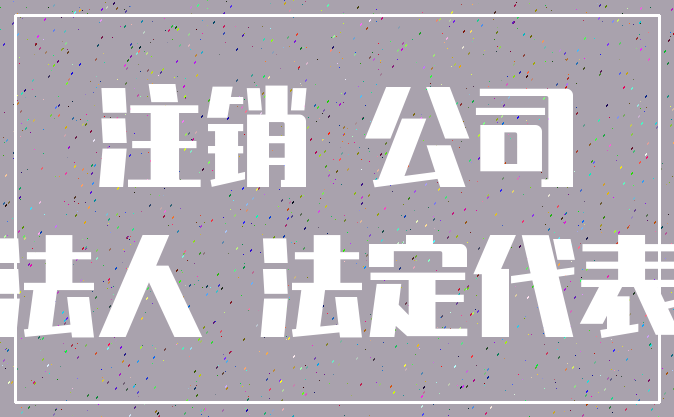 注销 公司_法人 法定代表