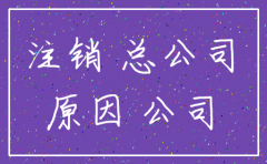 公司注销不了原因怎么写