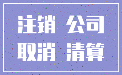 分公司注销登报的主要程序