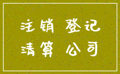 一人有限公司注销税务登记