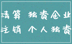 独资公司注销清算组织