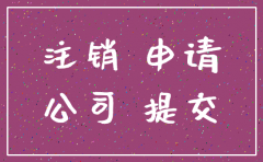 重庆市公司注销登记申请书
