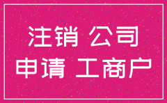 贵州省公司注销申请书下载