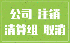 长沙公司注销流程及材料