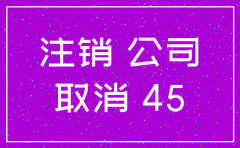 长期无收入的公司注销流程