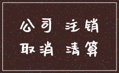 新成立的公司要多久才能注销