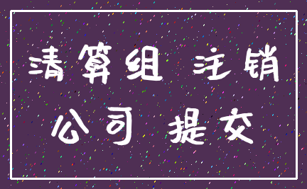清算组 注销_公司 提交