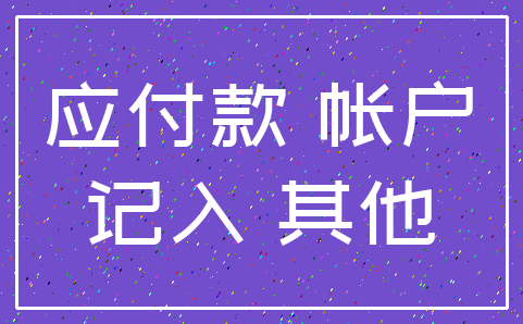 应付款 帐户_记入 其他