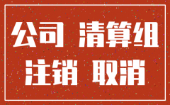 淮南潘集注销公司流程