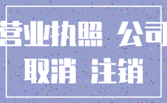 个人借款 公司注销
