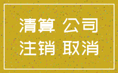 有分公司的公司注销流程