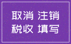 注销公司网上备案多久审核