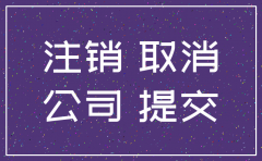怎样在网上申请公司注销