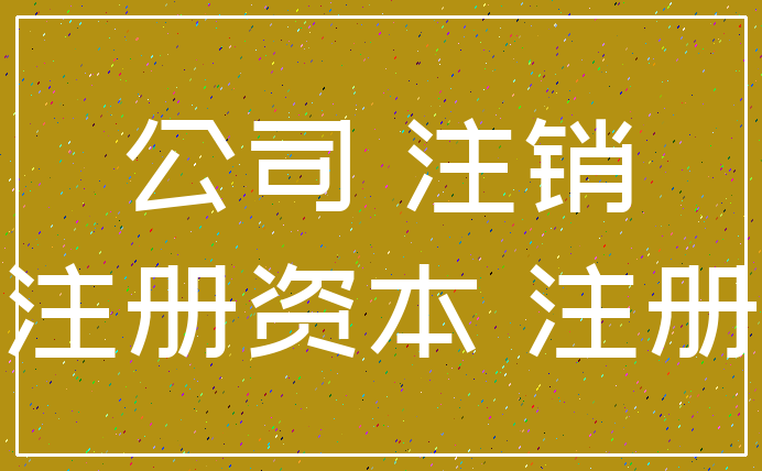 公司 注销_注册资本 注册