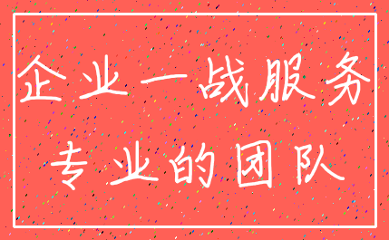 企业一战服务_专业的团队