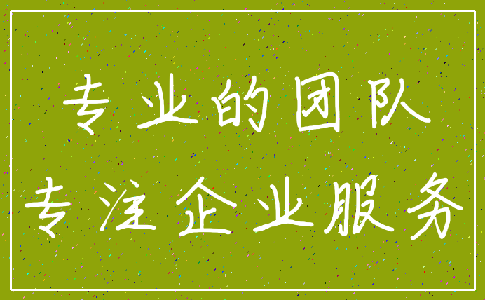 专业的团队_专注企业服务