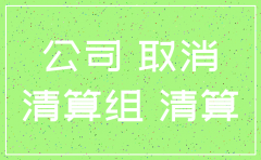 个人公司注销代办吗