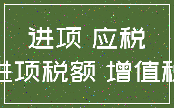 进项 应税_进项税额 增值税