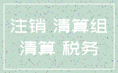 济南 公司注销 审计