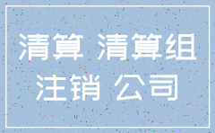 股东为单个公司清算注销流程